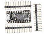 ItsyBitsy RP2040